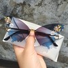 willochra Women Butterfly Cat Eye Sunglasses Fashion Shiny Bling Diamond