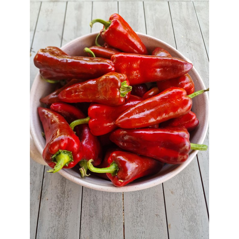 Dulce de Espana Sweet Pepper Seeds - 20 Fresh Dulce
