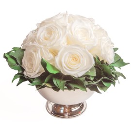 ROSEMARIE SCHULZ Heidelberg Infinity Flower in Silver Cup Eternal Rose Preserved Bouquet Long Lasting (White, 11 Roses)