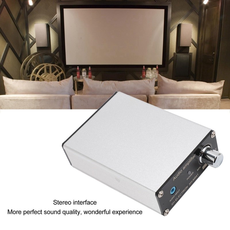 XH M541 Subwoofer Amplifier for Home Theater, Dual Channel Audio