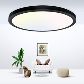 Zemty LED Flush Mount Ceiling Light Fixtures - 7 Inch LED Kitchen Light 3000k/4500k/6000K 3 Color Temperatures Selectable for Hallway Bathroom Pantry Dining Room