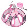Benala No Pull Harness Leash Set for Dogs Cats -