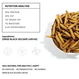 euchirus 2lb Reptile Food Dried Black Soldier Fly Larvae Treats for Bearded Dragon 5lb - 2