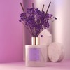 Cocorrína Premium Reed Diffuser Set with Preserved Baby's Breath &