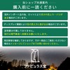 ファビュラス堂 玉ウキ 47mm 錘負荷 11号 中通し 発泡ウキ ぶっこみサビキ 泳がせ 釣り
