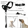 AIMALL Adjustable Dog Head Halter - Effective Anti-Pulling Training Collar