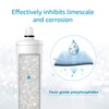 AQUA CREST AP431 Whole House Scale Inhibitor Water Filter, 1
