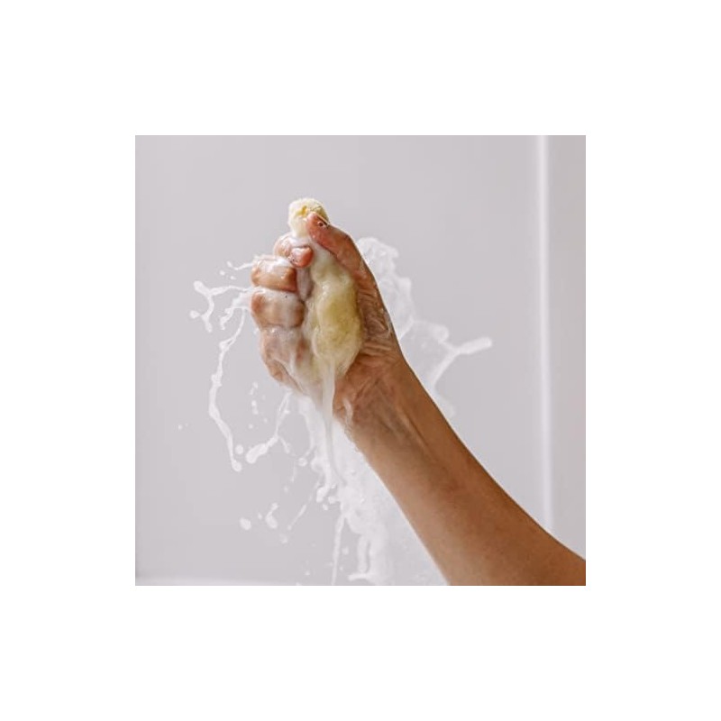 Esponja natural del mar – Croll & Denecke