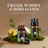 Aeshory Essential Oils Set -28x5ml Fruity & Woody & Herbal