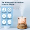 Lecdura Glass Essential Oil Diffuser, 80ML Small Glass Reservoir Natural