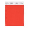 PANTONE Smart 17-1462X Color Swatch Card, Flame