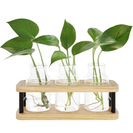 THYGIFTREE Plant Propagation Station with Wooden Stand, Propagation Vases Glass Planters for Indoor Plants Hydroponic Propagating Jars Home Office Decor, Plant Lover Gifts Mothers Day
