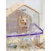 TUTU&LELE Hamster Hideout, Tiny House Nest, Starry Sky Habitat, Plush
