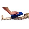 Mobilisation Wedge for Physiotherapy Manual Therapy