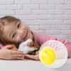 Gymnastics Ball, Hamster Ball, Large 14.5 cm, Hamster Wheel Exercise