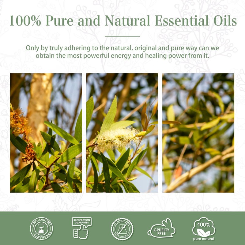 Australian Tea Tree 1.01fl.oz Essential Oil, PHATOIL Pure Aromatherapy Oils