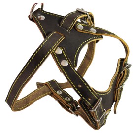 Real Leather Dog Harness, 24.5"-28" Chest Size, 3/4" Wide Medium