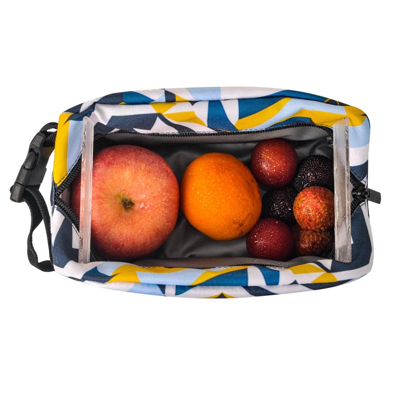 Remobia Hicol Freezable Snack Box with Built-in Ice Packs,Small Insulated