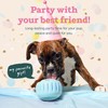 WOOF Party Pupsicle - Long-Lasting Interactive Dog Toys for Boredom