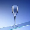 Premium Unbreakable Polycarbonate Champagne Flutes. Set of 6 with 4