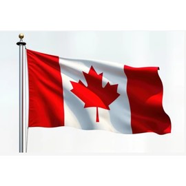 The National Flag of Canada Flag, Large Outdoor National Flag, 150 cm x 90 cm Standard Residential Flag, Silk Printed, Outdoor Indoor, Printed Maple Leaf Polyester and Brass Grommets, Canadian National Flag for Home Garden Yard