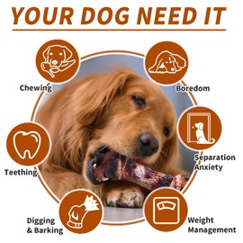 Aqezd Dog Toys for Aggressive Chewers - Long-Lasting Nylon Chew Bones, Indestructible Toys for Medium to Large Breeds, Teething Toys to Keep Them Busy (Brown)