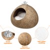 Coconut Shell Birds Nest- Natural Coconut Shell Bird Nest Keep