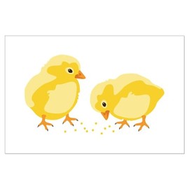 CafePress Baby Chicks Posters 23"x35" Heavy Semi-gloss Paper