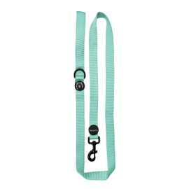 ShawnCo Dream Walk Dog Leash- Premium, Nylon Pet Leash with Soft Neoprene Handle for Small, Medium and Large Dogs (Seafoam, Medium/Large)