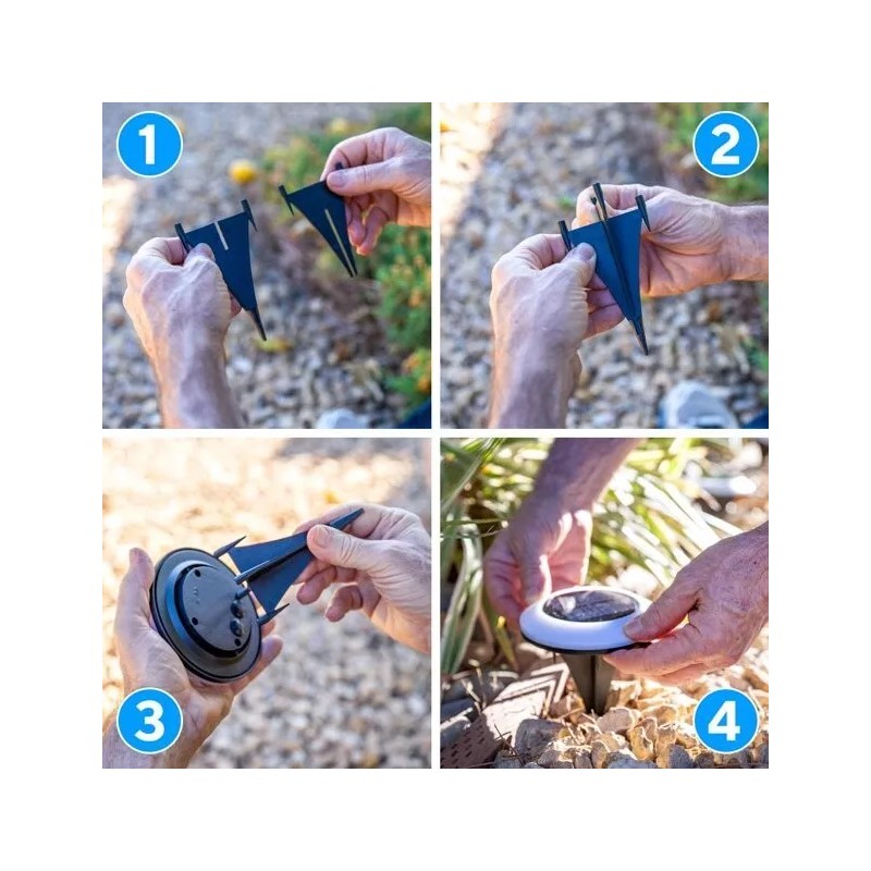 Brightology Colorize Solar Lights Color Change Ring Lights In-Ground 6