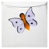 THUN Set 2 Bicchieri Bibita Incanto di Primavera, Borosilicato, 400