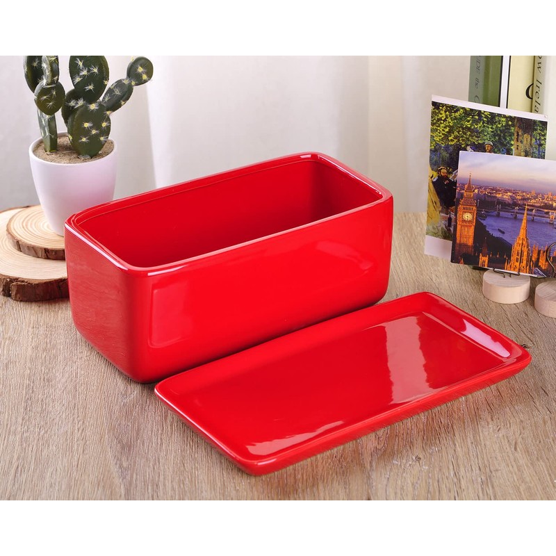 VanEnjoy 10 Inch Red Rectangle Ceramic Succulent Planter Pot Decorative