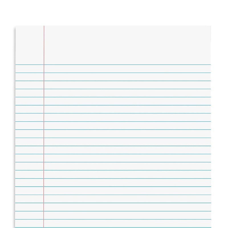 STAPLES Steno Pads, 6'' x 9'', Narrow Ruled, 100 Sheets/Pad,
