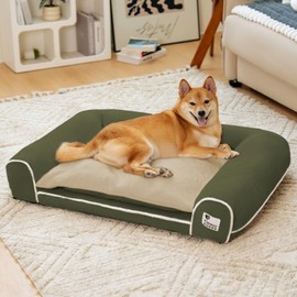 FUNNY FUZZY Orthopedic Dog Bed – Washable Dog Bed with Double Layer Plush Cushion Sofa Style Design with Bolstered Sides for Small Medium & Large Dogs Removable Cover M Size (23.6"x19.7"x6.9") Green
