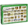 Bachmann Trains - PLASTICVILLE U.S.A. BUILDINGS â CLASSIC KITS -