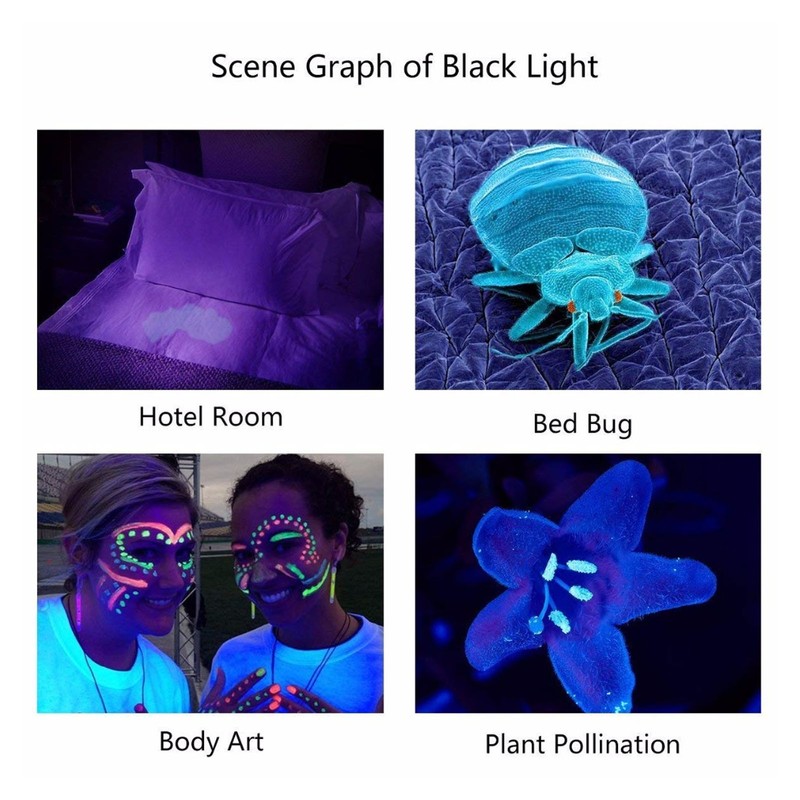 365nm UV Blacklight Flashlight USB Rechargeable Black Light Flashlight Pet