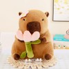 NatureMan Cute Capybara Stuffed Animals,Kawaii Capybara Plush Toys, 30cm Capybara