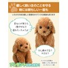 Adult-oriented Voice Recognition Plush Toy 【Talking Toy Poodle】 Easy to