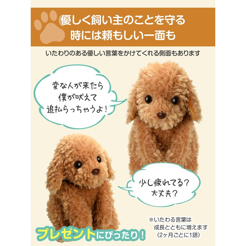 Adult-oriented Voice Recognition Plush Toy 【Talking Toy Poodle】 Easy to