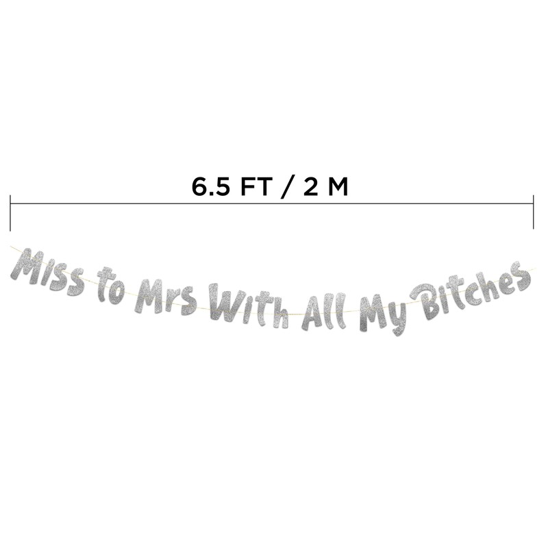 Miss to Mrs Classy & Sassy Bachelorette Silver Glitter Banner