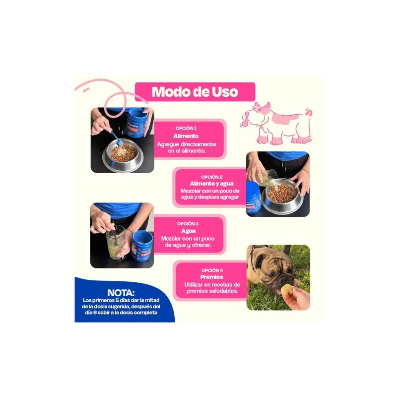 Dogelthy Pack De 2 Gastro Aid Sabor Cerdo Para Perros