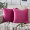 Phantoscope Pack of 2 Velvet Decorative Throw Pillow Covers Soft