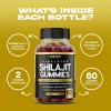 DORADO NUTRITION Pure Shilajit 1000mg 60 Gummies Asphaltum Naturally Occurring