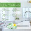 Earth Brite All Natural Multipurpose Cleaner for Bathroom, Floor, Kitchen