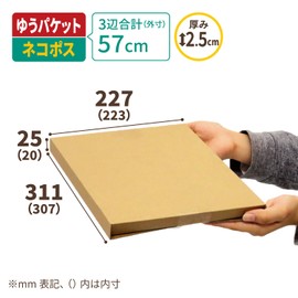 アースダンボール メール便対応 A4 箱 2.5cm厚 10枚 ネコポス ゆうパケット クリックポスト ID0243