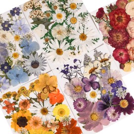 Nisetten 6 Pack 150PCS Real Pressed Dried Flowers Dry Leaves Craft Kit - Natural Dried Flowers for DIY Crafts, Resin Jewelry, Cards, Soap, CandleMaking, Nail Art, and Scrapbooking (Colorful)