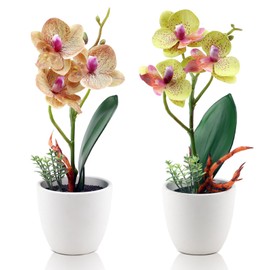 ginojex 2Pcs Artificial Flowers Fake Orchid Phalaenopsis Small Potted Plant Ceramic Vase for Home Decor Bathroom Office Desk Wedding Decoration(Yellow & Brown) ﻿