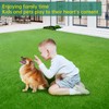 LFL Artificial Grass Turf 4 Feet X 20 Feet, Outdoor