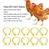 100PCS Chicken Ankle Rings Reusable Plastic Duck Leg Bands Clips