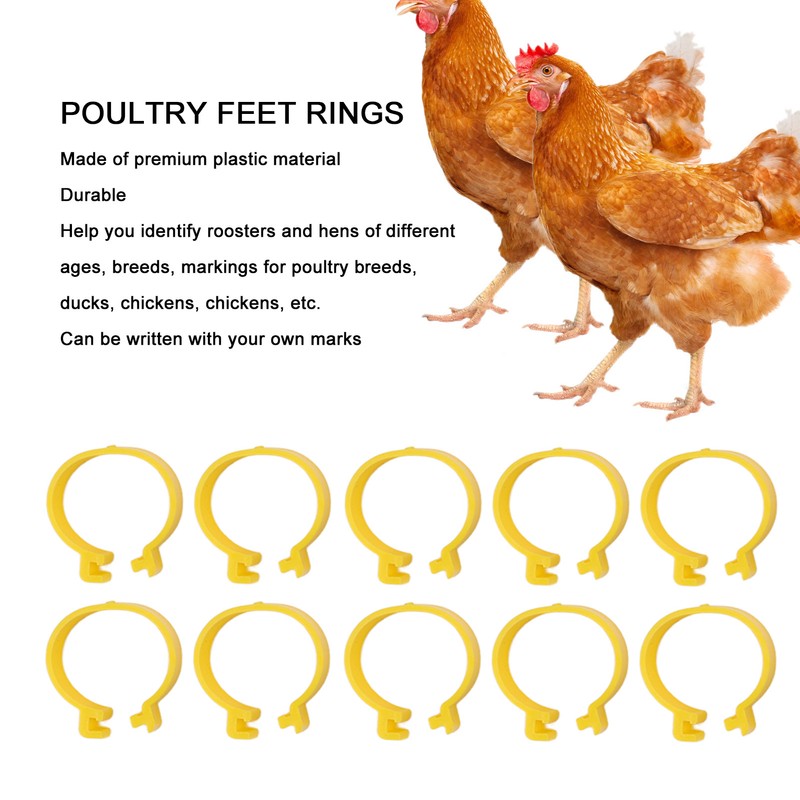 100PCS Chicken Ankle Rings Reusable Plastic Duck Leg Bands Clips